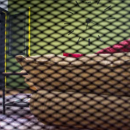 Apartment Urban Style In The Centre Varna